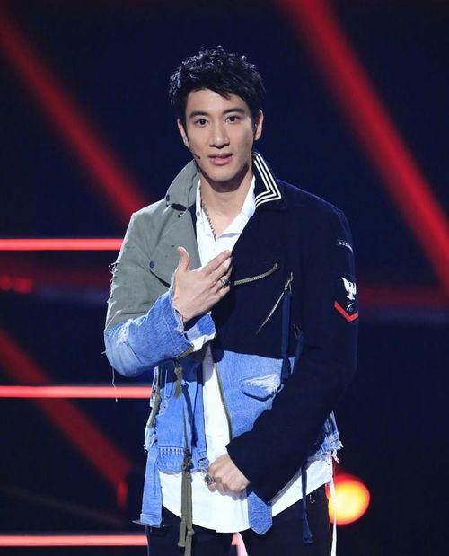 娱乐圈大爆料王力宏是谁,王力宏的神秘面纱